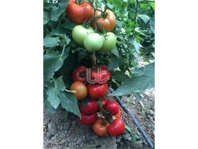 0eb3b67b-aa23-427e-b648-611b22087428