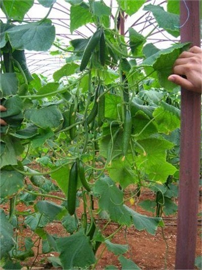 4ebd3c12-0481-493c-bf80-99aee71161a2