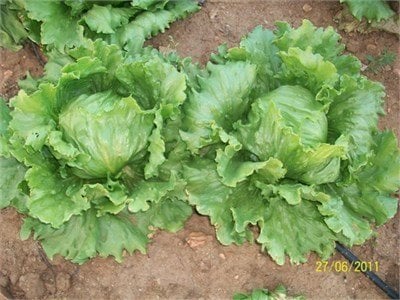 61c544d7-52f7-4a18-aaf5-2a2825a1e84c