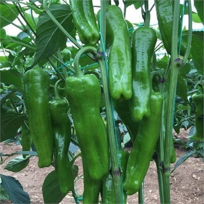 6b39b49e-a9ca-49ed-8a17-b28a5420c09c