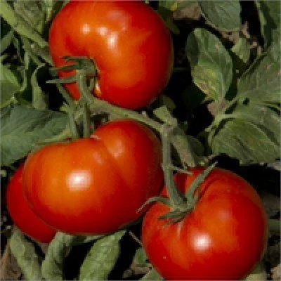 9a5e805b-f3d9-43bf-8e7b-b408e6591eeb