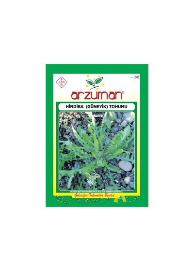 Photoroom_20250318_015010