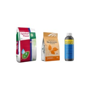 Muhteşem 3’lü — Çiçek Artırıcı ve Çiçek Tutumunu Güçlendiren Kombinasyon