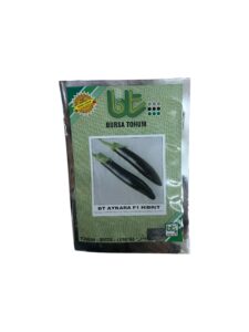 BT Aykara F1 Hibrit Patlıcan Tohumu