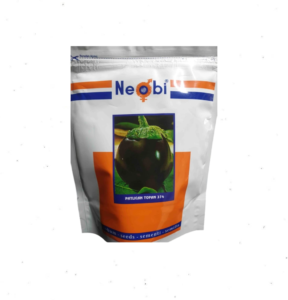 Neobi Topan 374 Top Patlıcan Tohumu 500 Gram