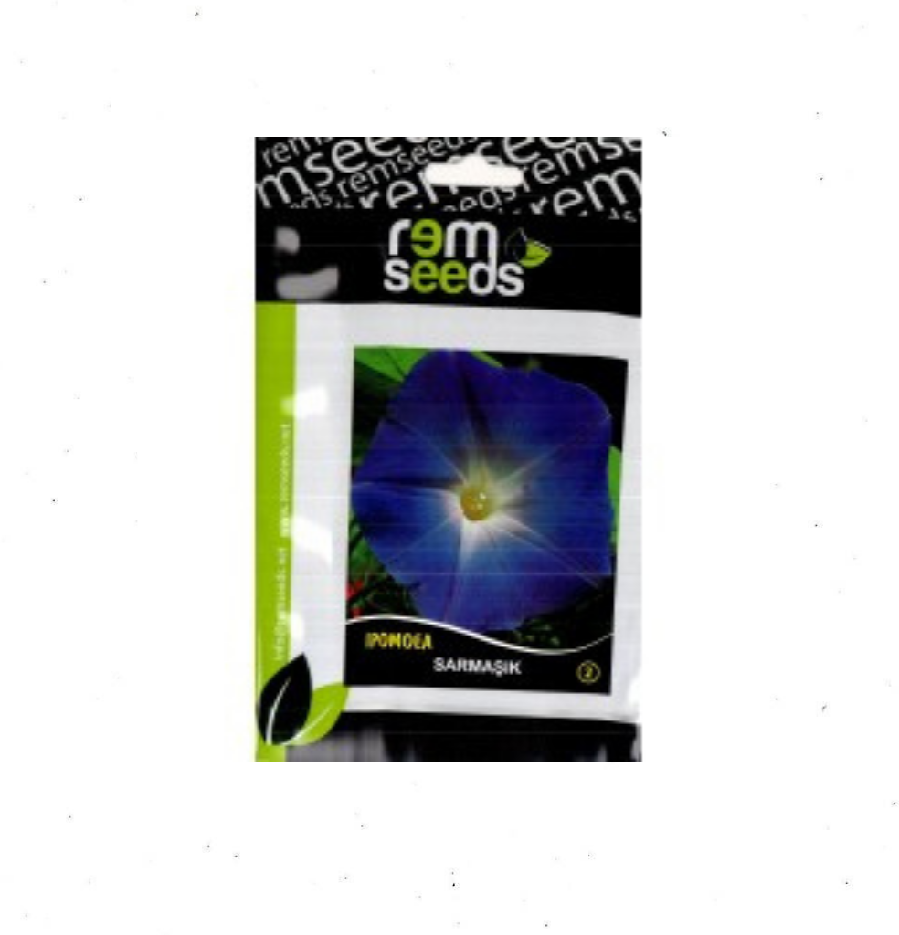 asyetravel.com - 2025-03-22T162018.604