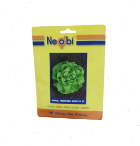 Neobi Tereyağlı Kıvırcık Marul 10 (Gr)