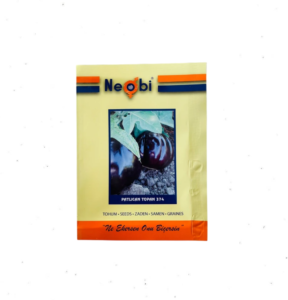 Neobi Topan Patlıcan