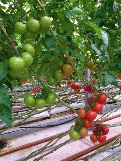 dd4164a2-caf6-400d-ac5a-3fd46980378c