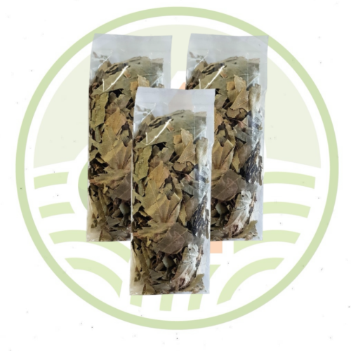 Çınar Yaprağı 3 Paket Çınar Yaprağı Çayı Kurutulmuş Çınar Yaprağı Bitkisi