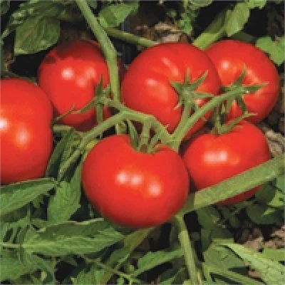 e1afc90e-d72c-447d-9c7e-c8103b45d199