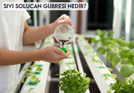 Sıvı Solucan Gübresi Nasıl Kullanılır?
