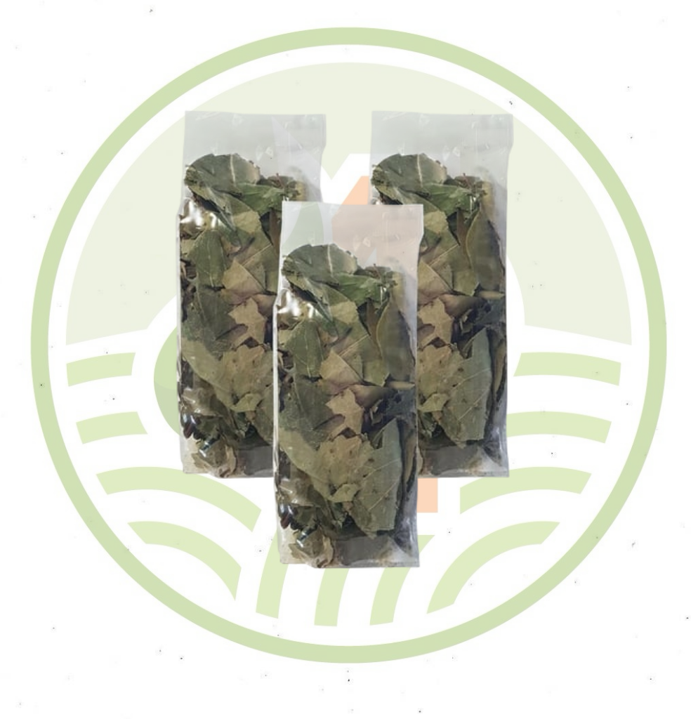 dortmevsimtarim (73)