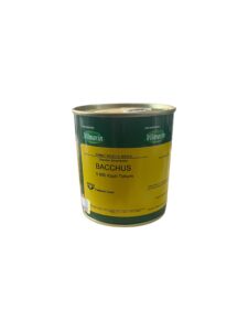 Vilmorin Bacchus Kırmızı Kıvırcık Marul Tohumu – 5.000 Adet