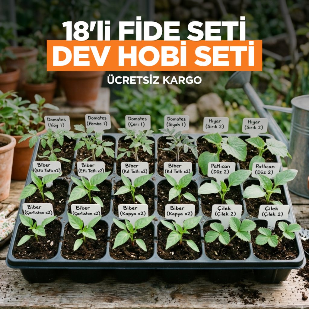 18'li FİDE SETİ