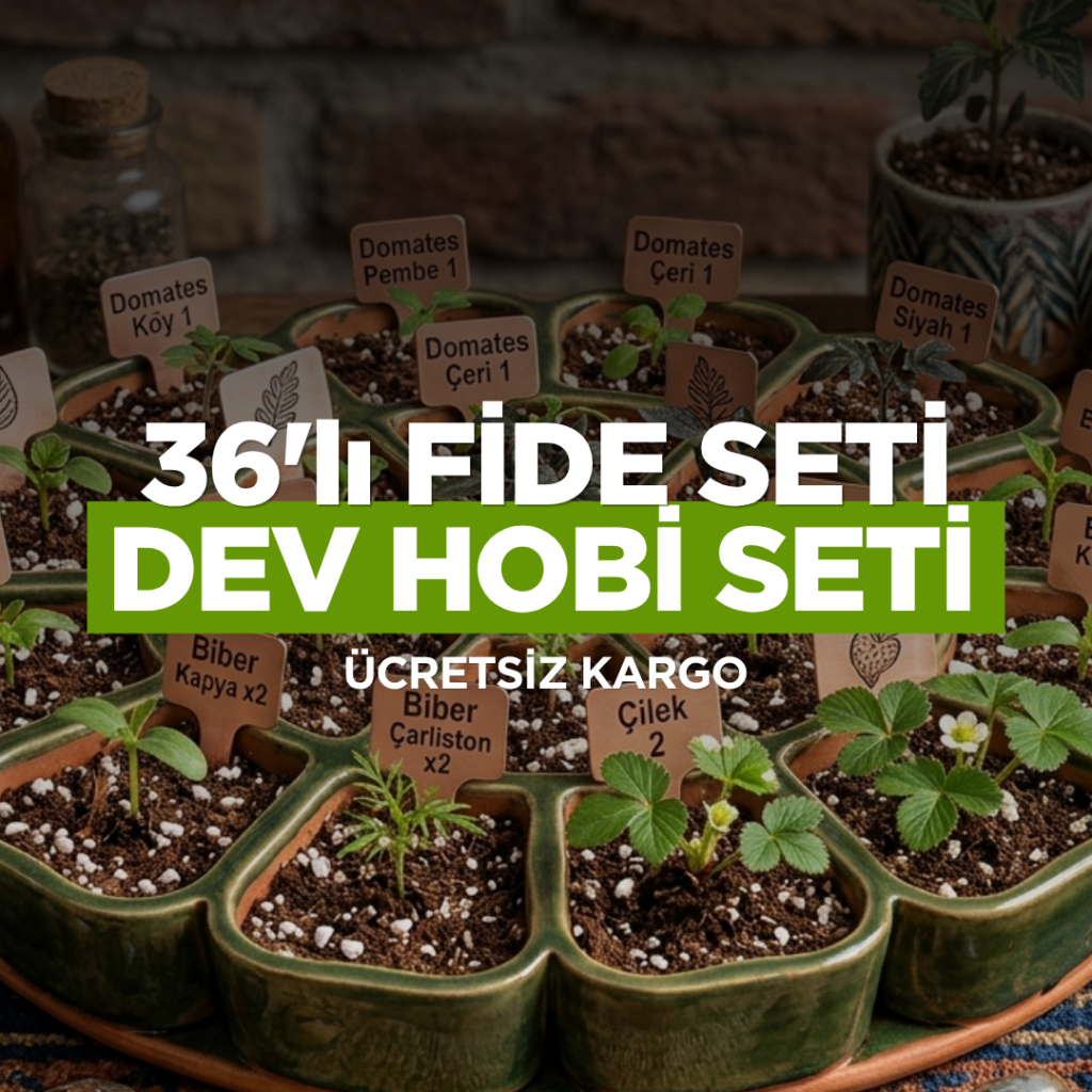 36lı FİDE SETİ