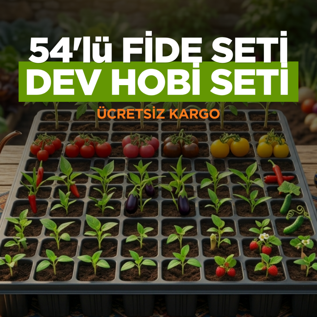 54'lü FİDE SETİ