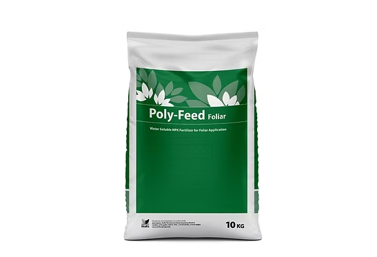 Haifa Poly-Feed™ Foliar 21-21-21 (10 Kg)