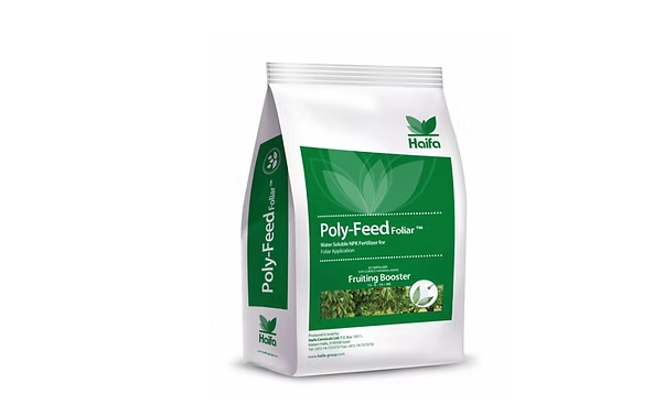 Haifa Poly-Feed™ Foliar 16-8-34 (2 Kg)